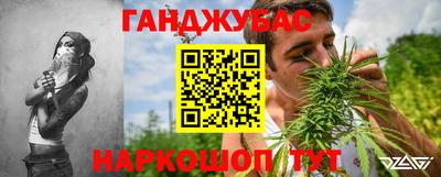 крисы Кунгур