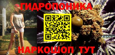 крисы Кунгур