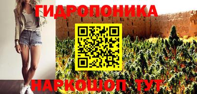 крисы Кунгур