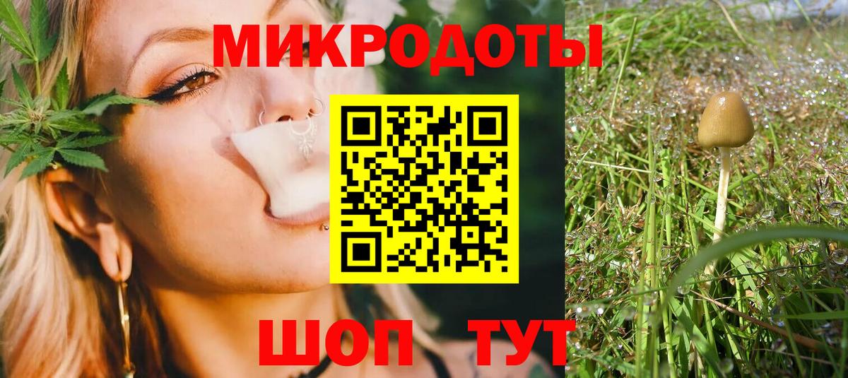 Псилоцибиновые грибы Psilocybe Переславль-Залесский