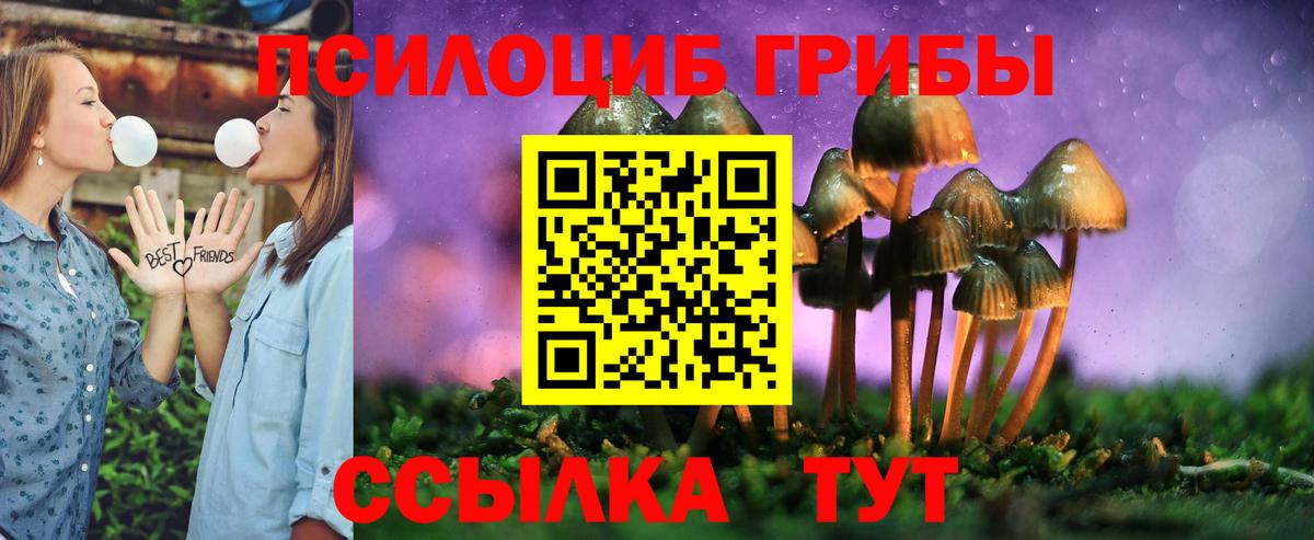 Псилоцибиновые грибы Magic Shrooms  купить  сайты  Переславль-Залесский  Псилоцибиновые грибы GOLDEN TEACHER  Вход с VPN 